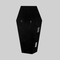 black velvet coffin ring cabinet back