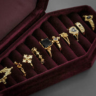 red velvet coffin ring case line up gold